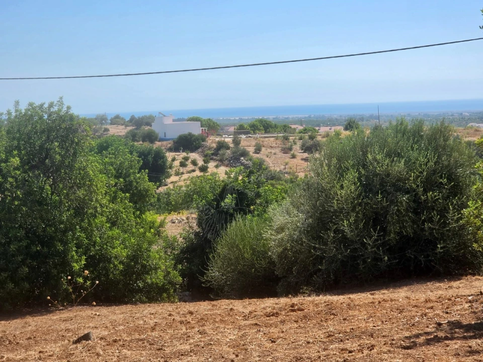 Negócio para Venda em Luz de Tavira e Santo Estêvão Foto 11