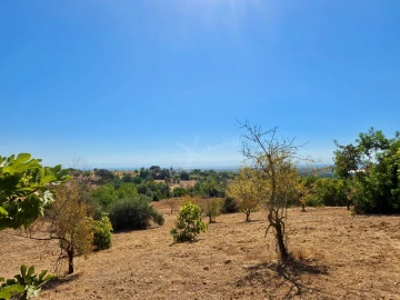 Negócio para Venda em Luz de Tavira e Santo Estêvão