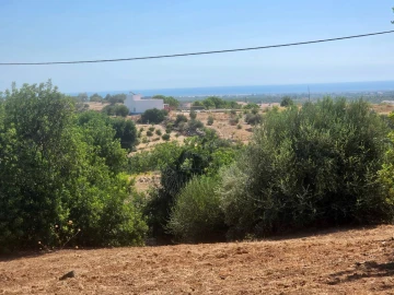 Negócio para Venda em Luz de Tavira e Santo Estêvão