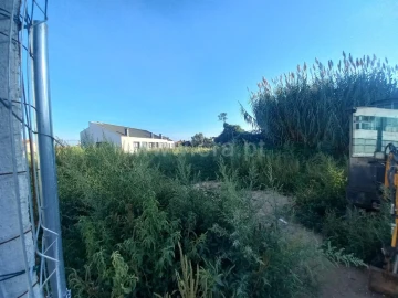 Terreno para Venda em Oliveira do Douro