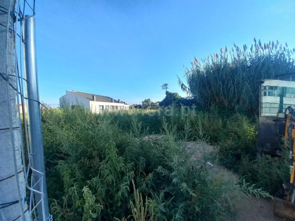 Terreno para Venda em Oliveira do Douro Foto 2