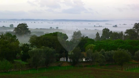 Moradia T10 para Venda em Chamusca e Pinheiro Grande