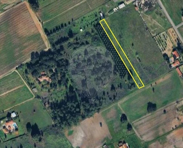 Terreno para Venda em Palmela Foto 2