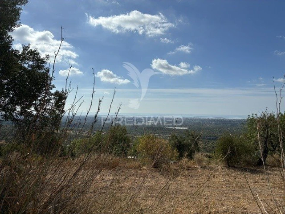 Moradia T3 para Venda em Conceição e Estoi Foto 22