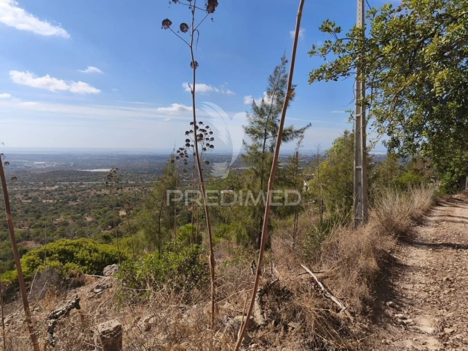 Moradia T3 para Venda em Conceição e Estoi Foto 33