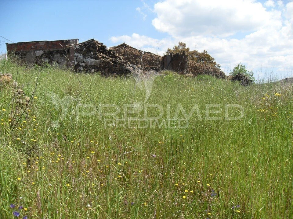 Terreno para Venda em São Bartolomeu de Messines Foto 9