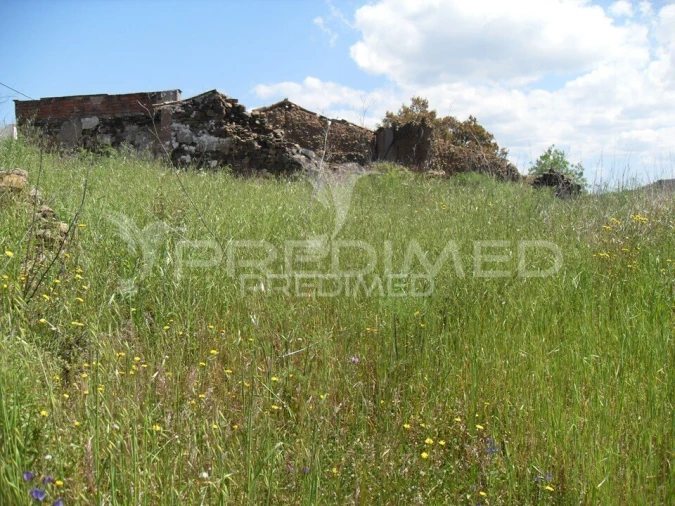 Terreno para Venda em São Bartolomeu de Messines Foto 9