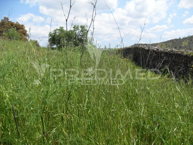 Terreno para Venda em São Bartolomeu de Messines Foto 13