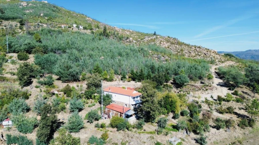 Quinta T0 para Venda em Gonçalo Foto 7