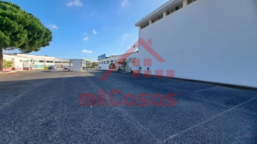 Armazém para Arrendamento em Santa Maria, São Pedro e Matacães Foto 15