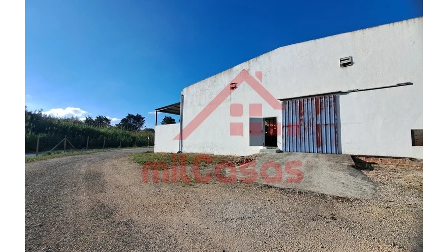 Armazém para Arrendamento em Santa Maria, São Pedro e Matacães