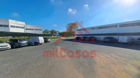 Armazém para Arrendamento em Santa Maria, São Pedro e Matacães