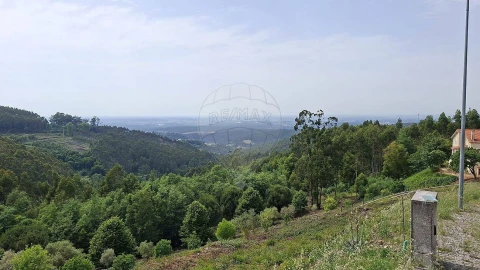 Terreno para Venda em Luso