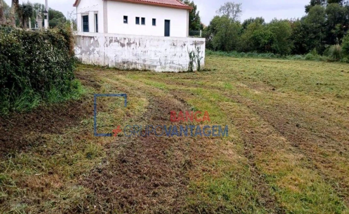Terreno Agricola ou Rústico para Venda em Ancora Foto 1