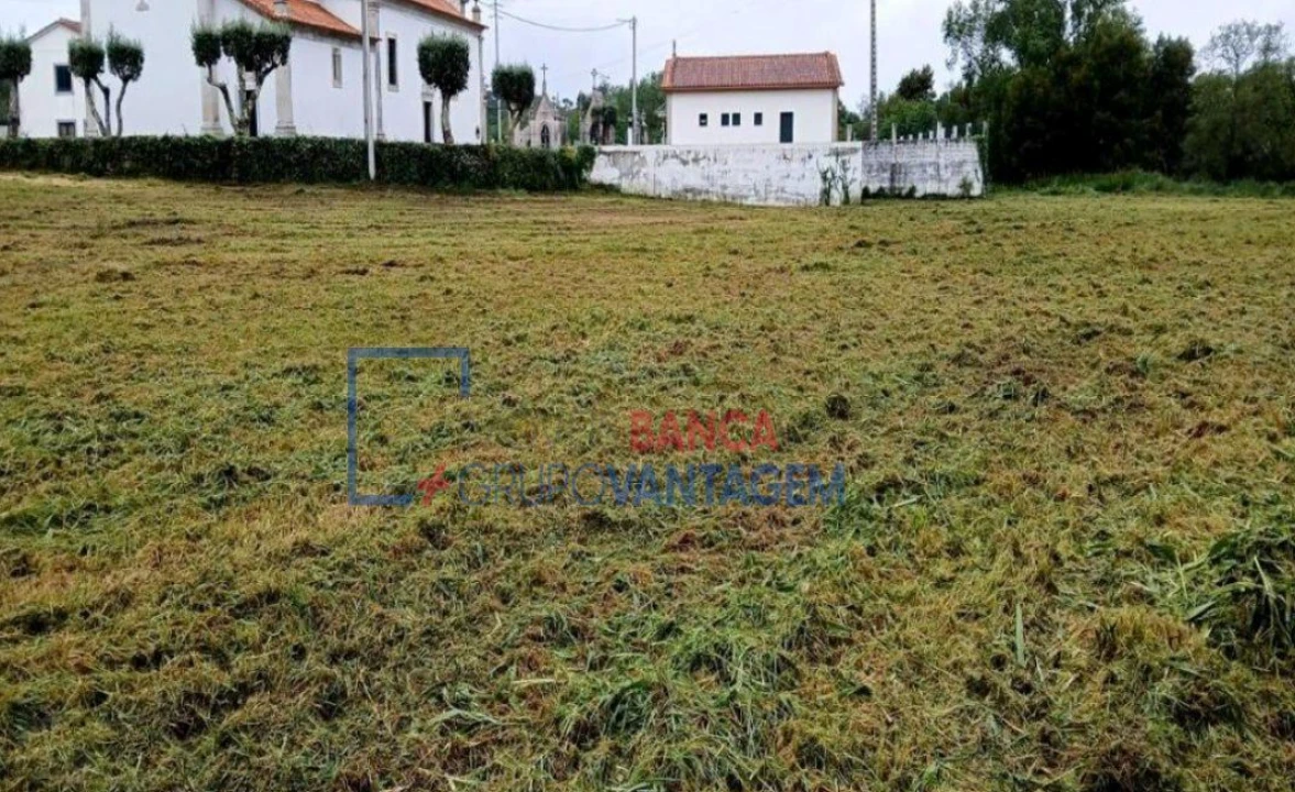 Terreno Agricola ou Rústico para Venda em Ancora Foto 2