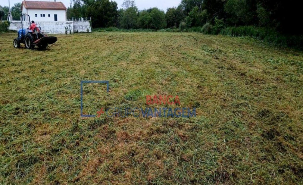 Terreno Agricola ou Rústico para Venda em Ancora Foto 3