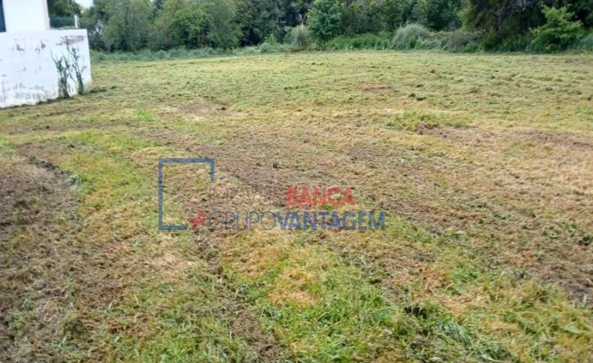 Terreno Agricola ou Rústico para Venda em Ancora Foto 5