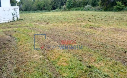 Terreno Agricola ou Rústico para Venda em Ancora