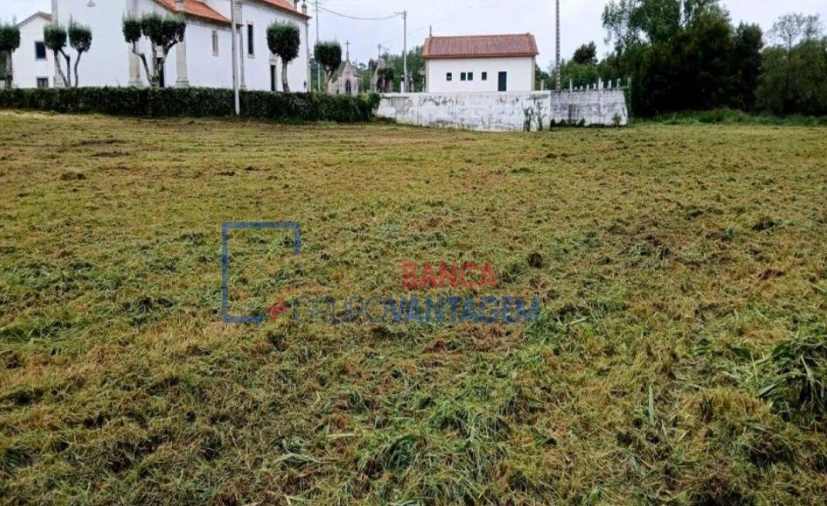 Terreno Agricola ou Rústico para Venda em Ancora Foto 2