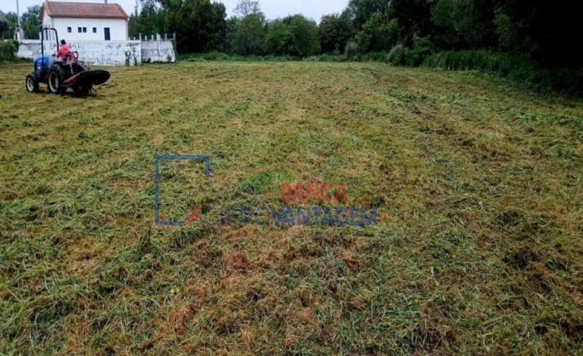 Terreno Agricola ou Rústico para Venda em Ancora Foto 3