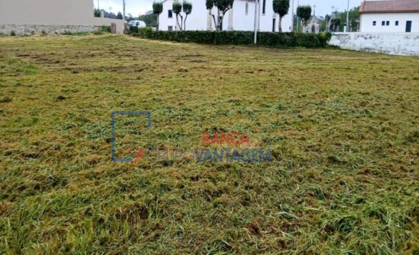 Terreno Agricola ou Rústico para Venda em Ancora Foto 6