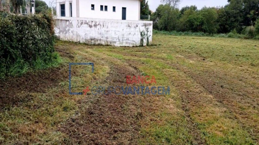 Terreno Agricola ou Rústico para Venda em Ancora