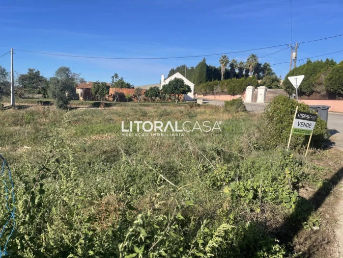 Terreno para Venda em Requeixo, Nossa Senhora de Fátima e Nariz Foto 19