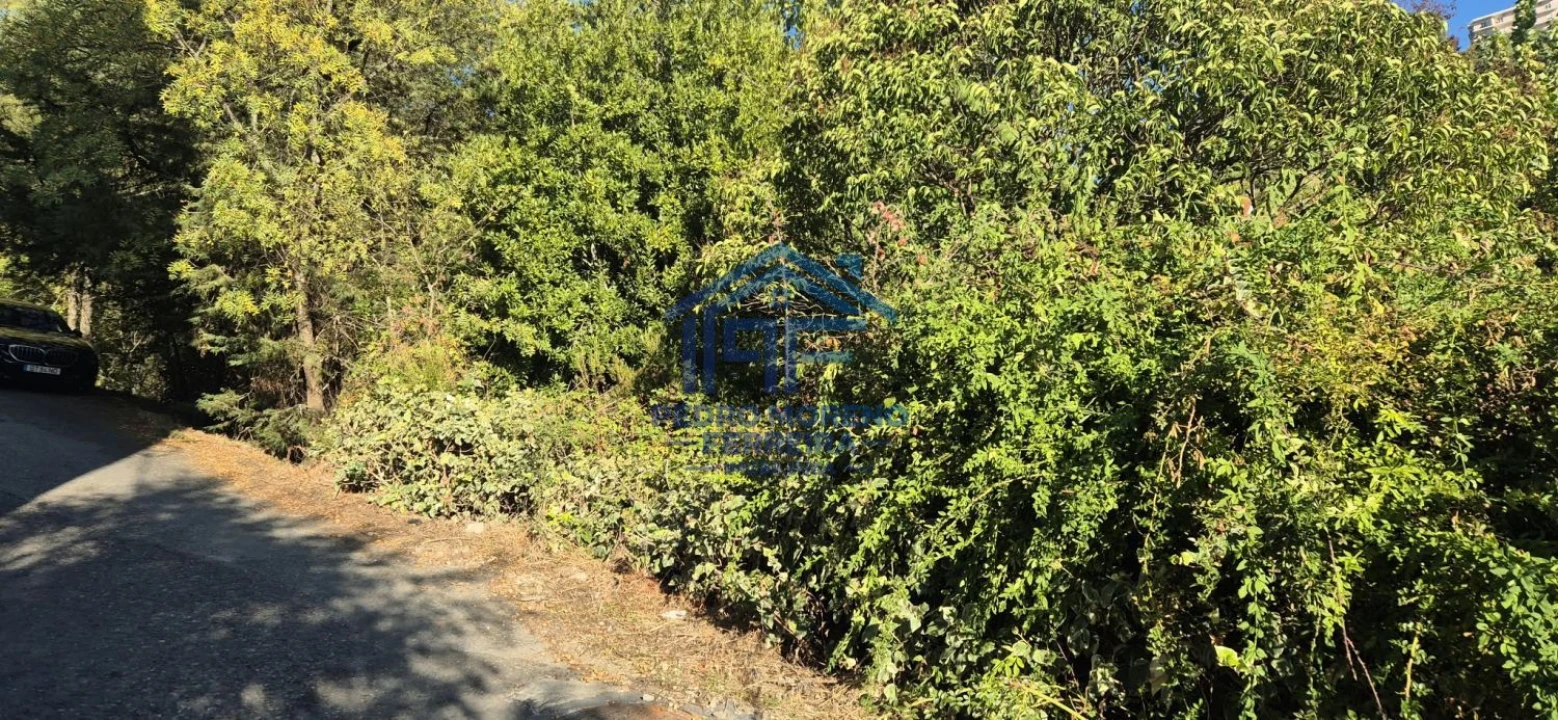 Terreno para Venda em Covilhã e Canhoso Foto 10