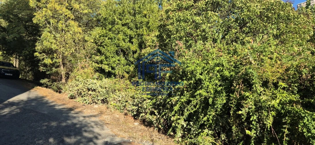 Terreno para Venda em Covilhã e Canhoso Foto 10