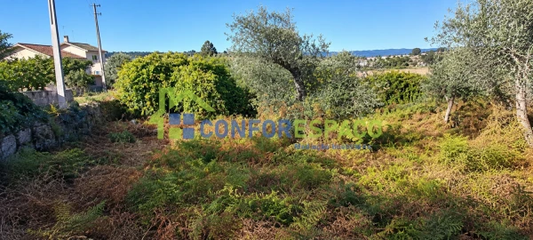 Terreno para Venda em Louriçal do Campo