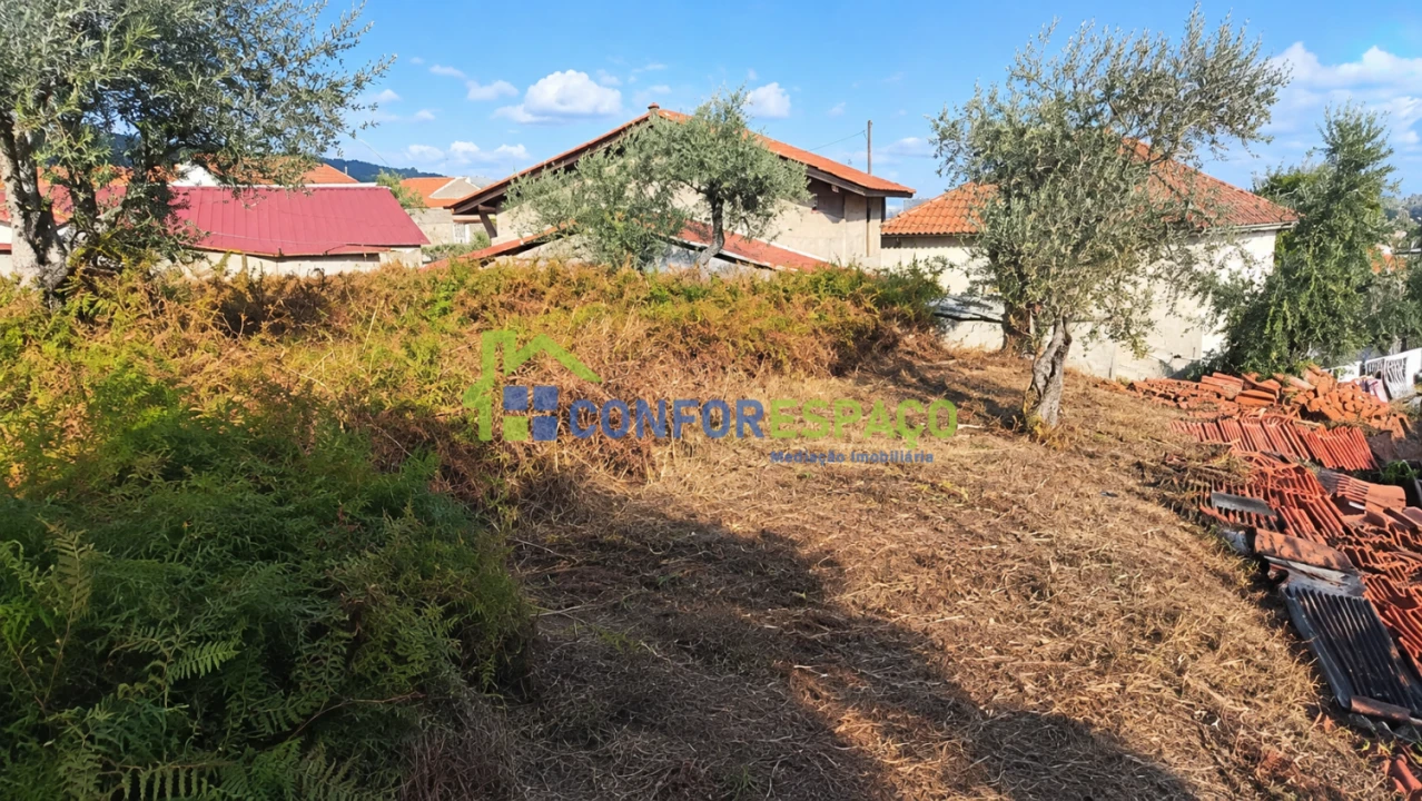 Terreno para Venda em Louriçal do Campo Foto 3