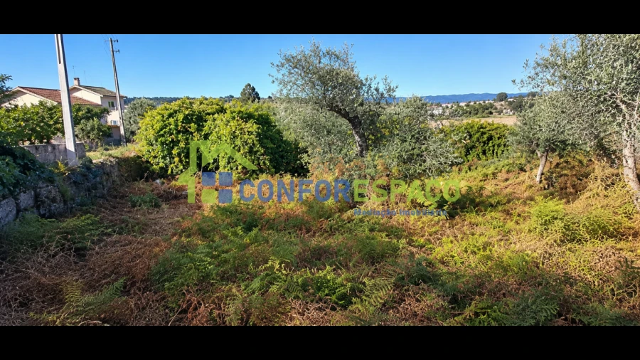 Terreno para Venda em Louriçal do Campo