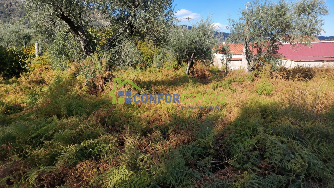 Terreno para Venda em Louriçal do Campo Foto 4