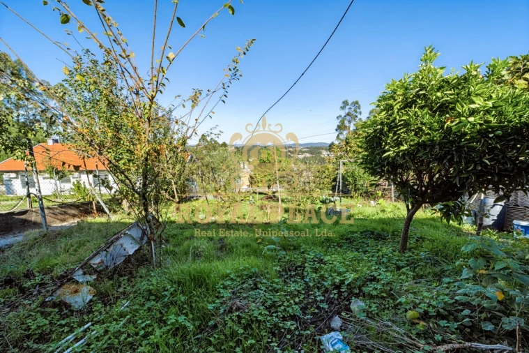 Moradia T3 para Venda em Caldas de São Jorge e Pigeiros Foto 32