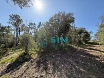Terreno para Venda em Sesimbra (Castelo)