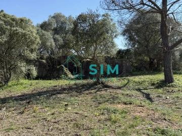 Terreno para Venda em Sesimbra (Castelo)