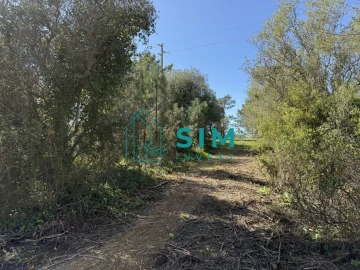 Terreno para Venda em Sesimbra (Castelo)