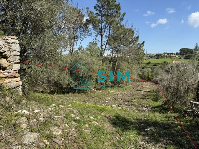 Terreno para Venda em Sesimbra (Castelo) Foto 7
