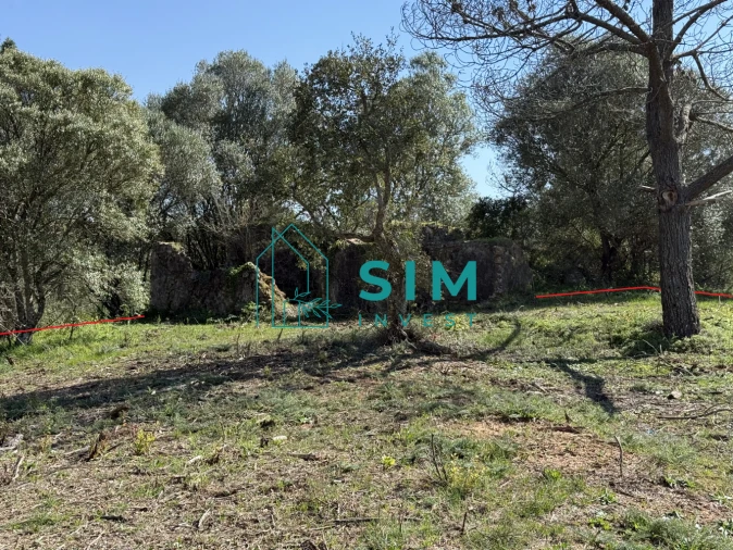 Terreno para Venda em Sesimbra (Castelo) Foto 4