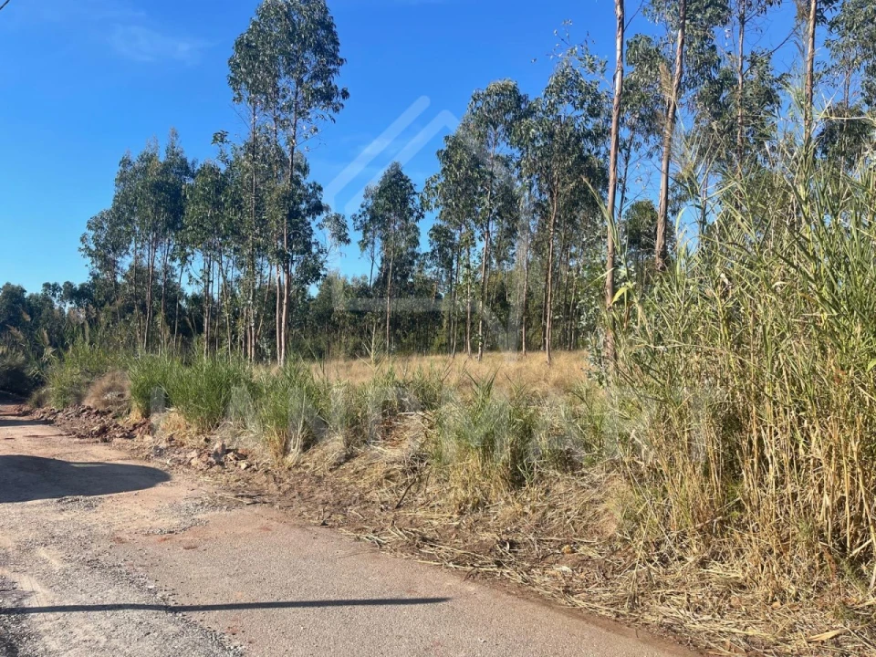 Terreno para Venda em Valado dos Frades Foto 1