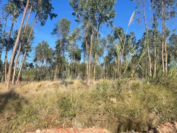 Terreno para Venda em Valado dos Frades