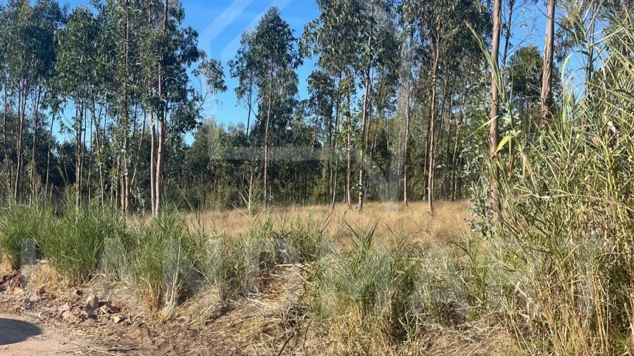 Terreno para Venda em Valado dos Frades