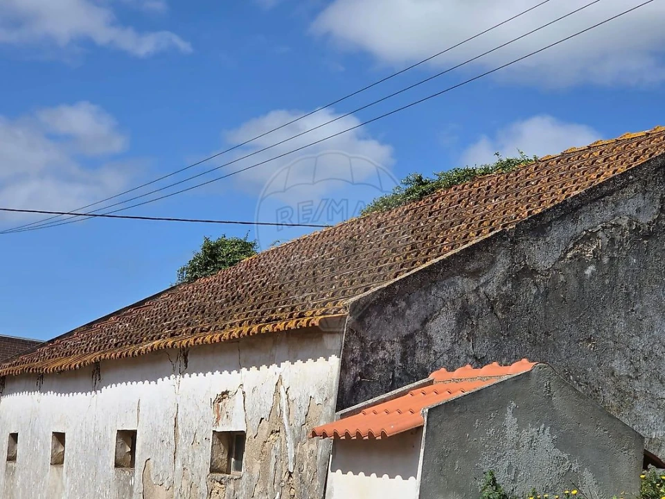 Armazém para Venda em Azueira e Sobral da Abelheira Foto 5