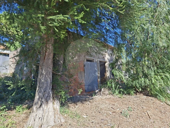 Moradia T2 para Venda em Santa Catarina Foto 14