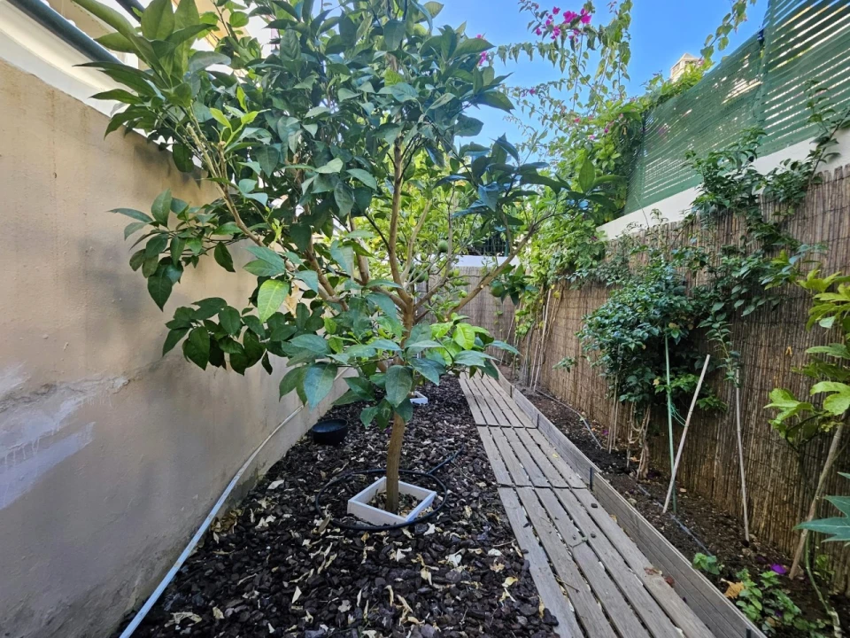Apartamento T1 para Venda em Tavira (Santa Maria e Santiago) Foto 11
