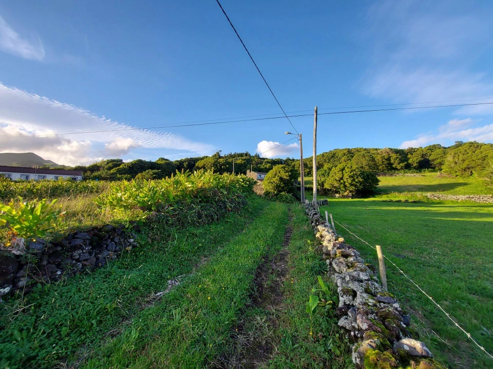 Moradia para Venda em Calheta de Nesquim Foto 28