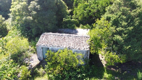 Moradia para Venda em Calheta de Nesquim