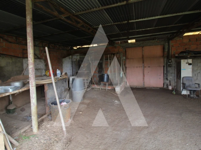 Moradia T4 para Venda em Recardães e Espinhel Foto 51