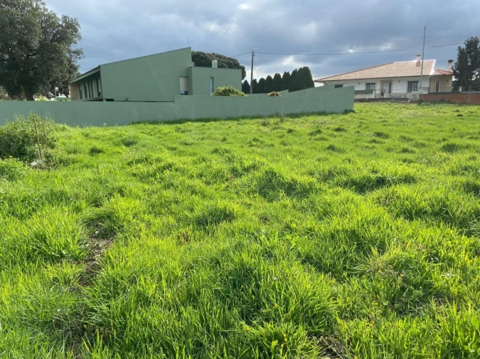 Terreno para Venda em Requeixo, Nossa Senhora de Fátima e Nariz Foto 3