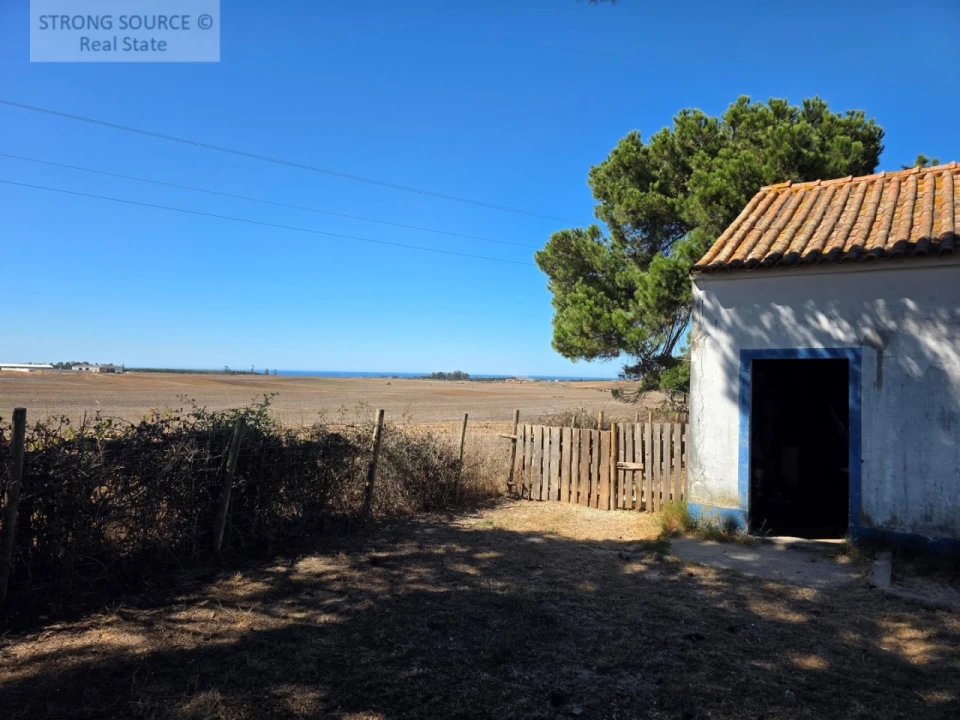 Quinta T3 para Venda em São Teotónio Foto 3